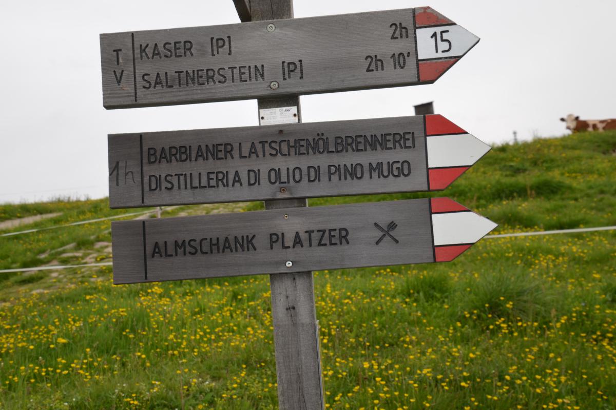 Platzer Alm 22.06.2023